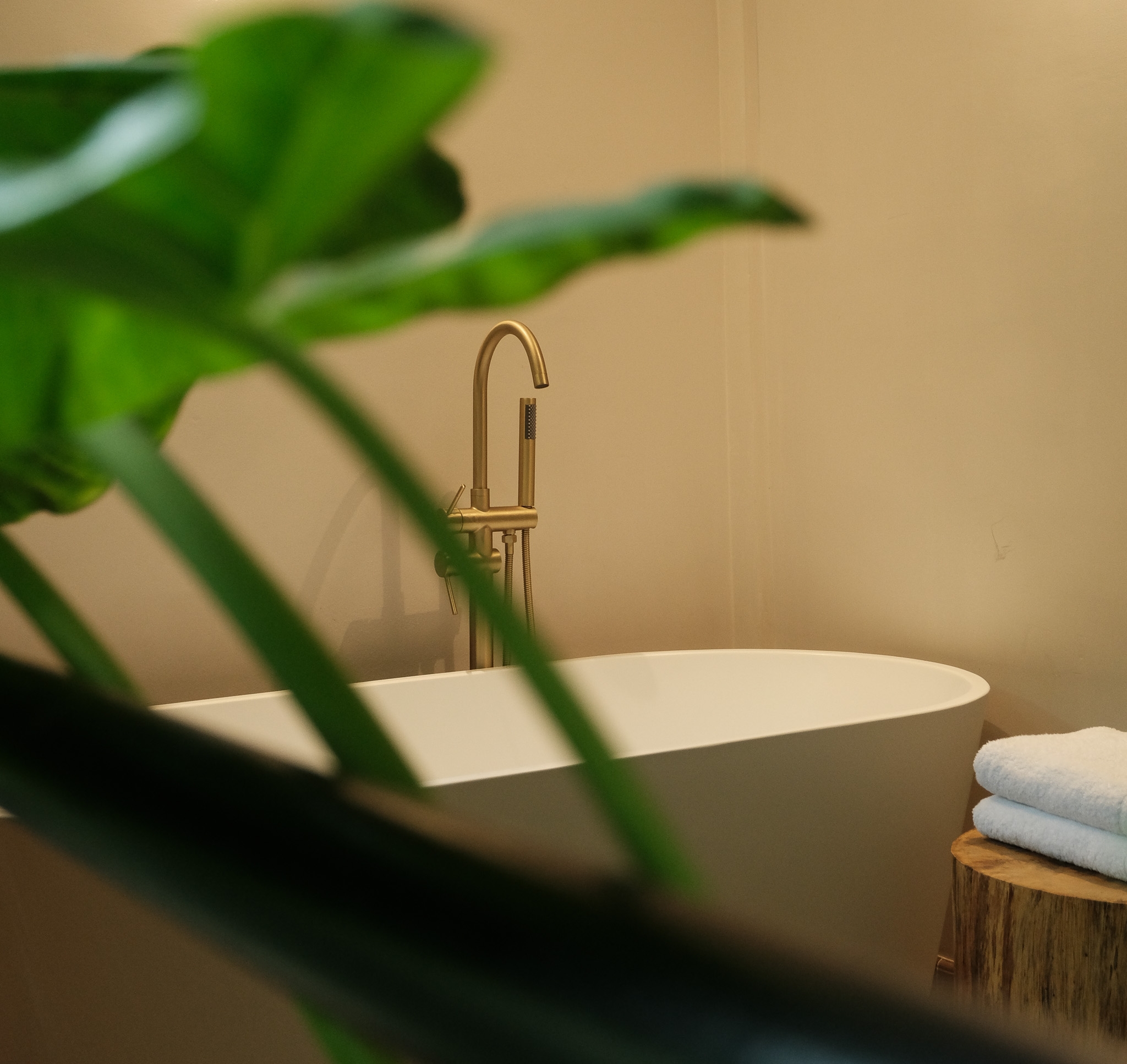 Copia de Copia de DSCF1893.jpg